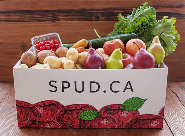 Local-Organic-Harvest-Box-box